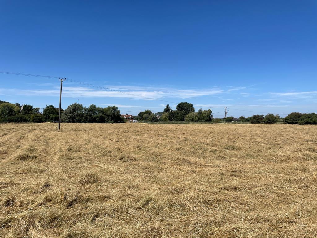 Lot: 129 - FREEHOLD LAND EXTENDING TO ALMOST FOUR ACRES - View towards Ashford Road